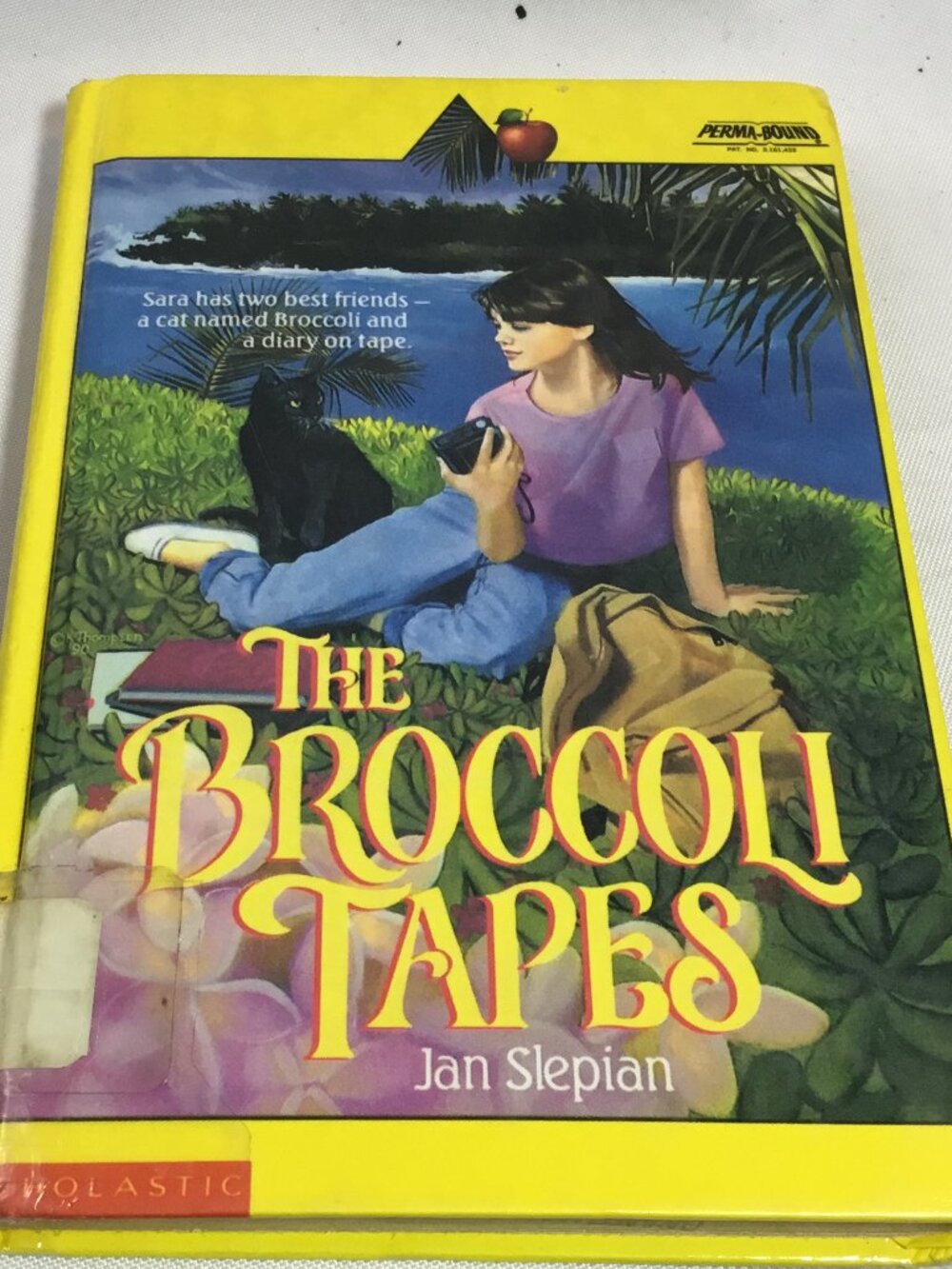The Broccoli Tapes by Slepian, Jan Hardcover 1990